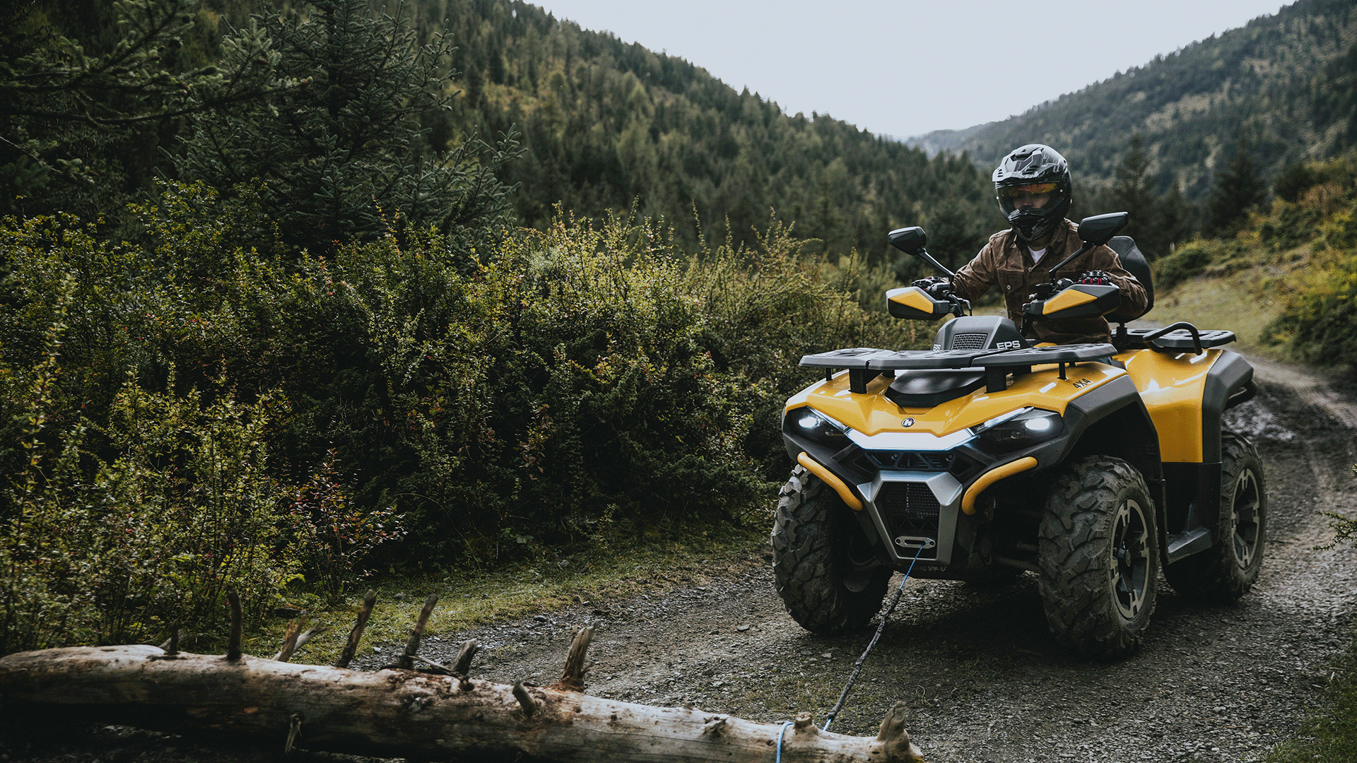 Hisun Guardian w lesie