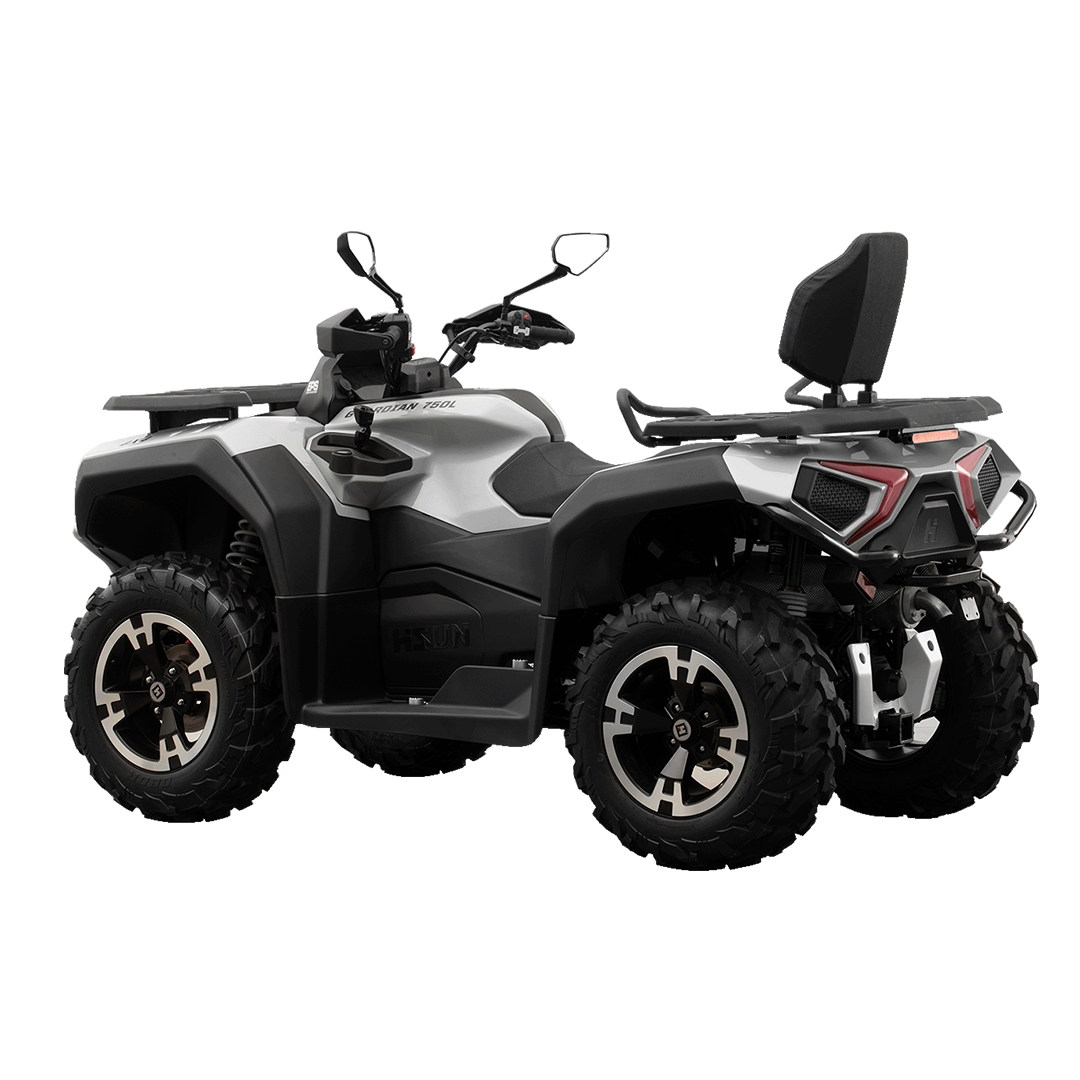 Hisun Guardian 750L Premium thumbnail 3