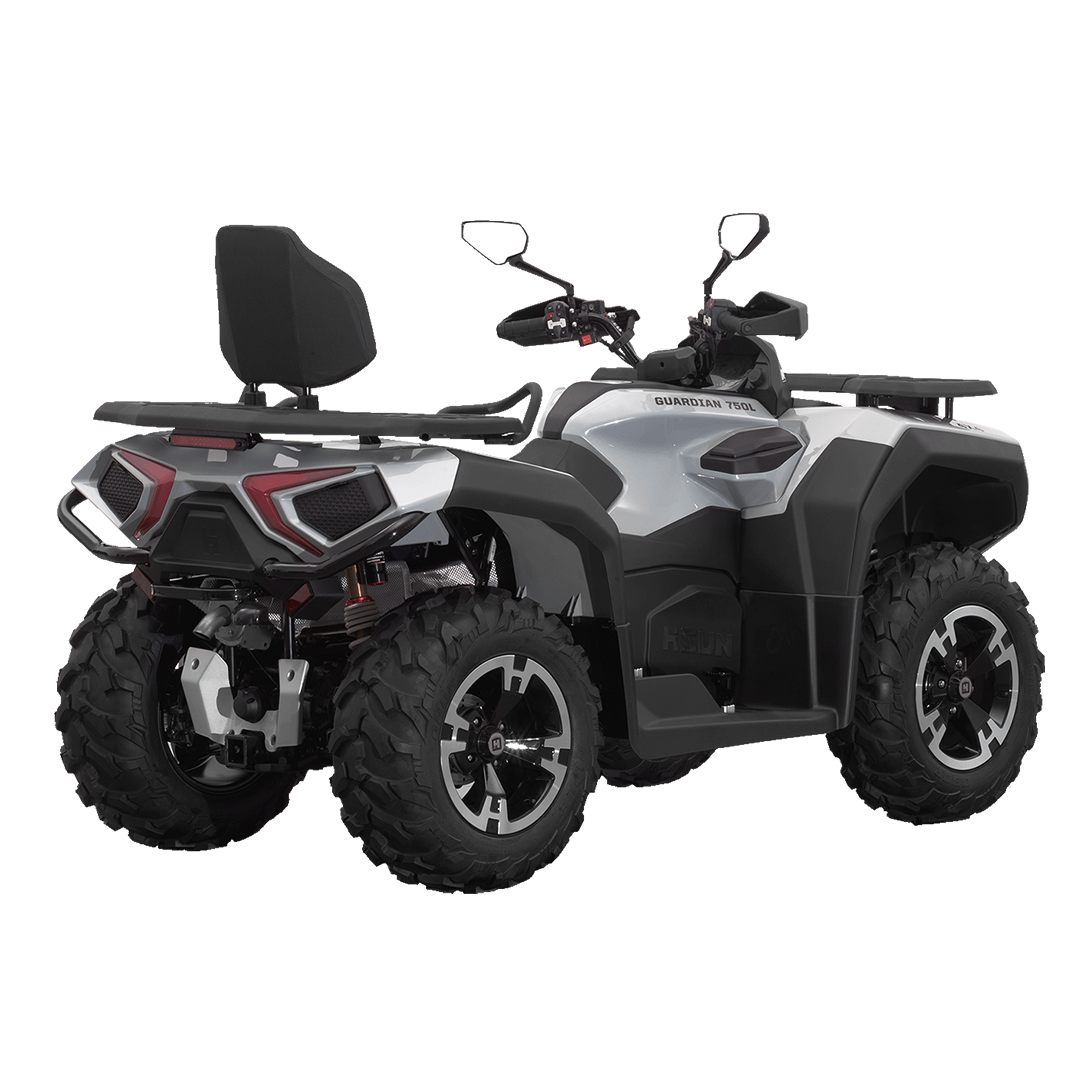 Hisun Guardian 750L Premium thumbnail 6